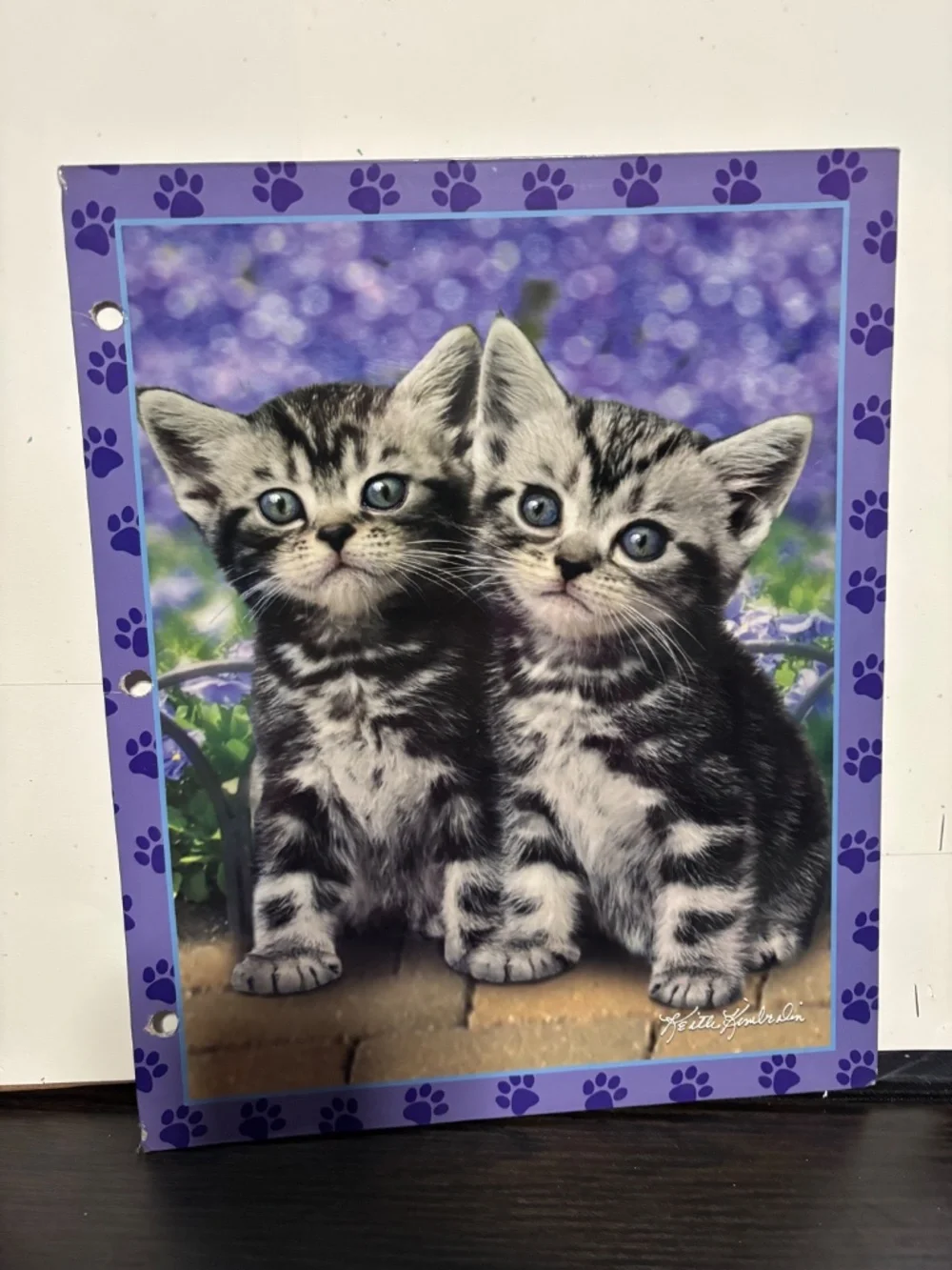 Cat/ Kitten Folder Bundle